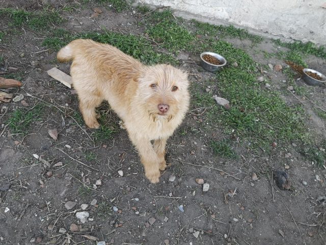 Amy