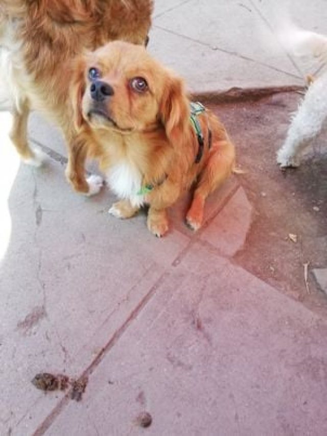 Jerry
