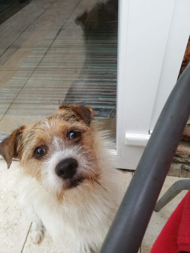 Meilo