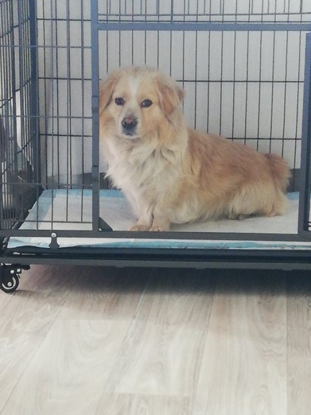 Sam