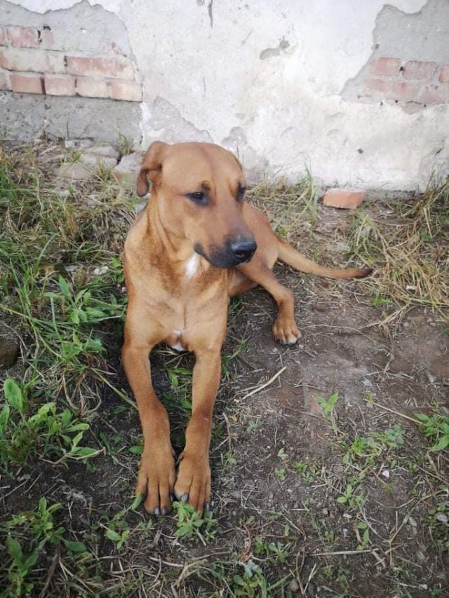 Sam
