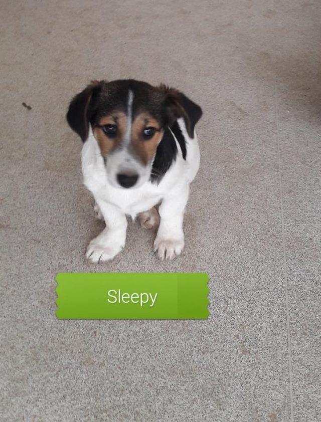 Sleepy