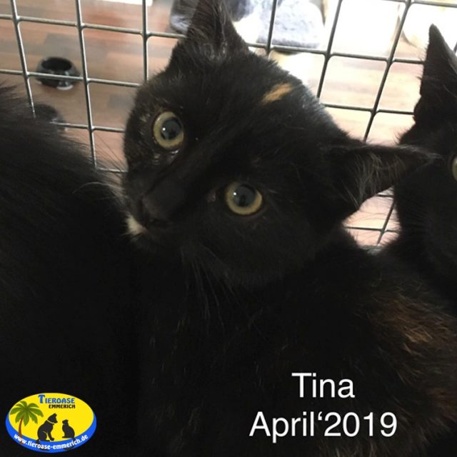 Tina